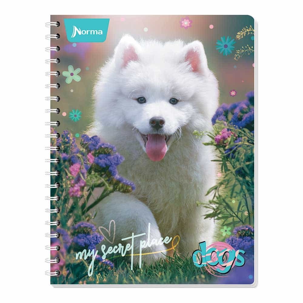 Cuaderno Espiral Doble Francés Cuadro Grande c/100 Hojas Norma (Diseño No Seleccionable) | CEI-0301-3